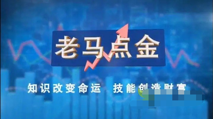 老马点金职业操盘手的看盘与复盘技巧-分享呦